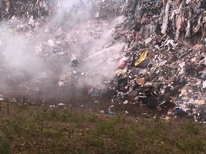 Pożar wysypiska śmieci w Tomaszowie Mazowieckim. Ogień gasiło osiem zastępów straży [ZDJĘCIA]