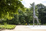 Park Praski czyli zielone serce prawobrzeżnej Warszawy. To tam kryje się wiele tajemnic