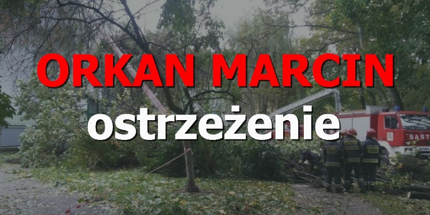 Orkan Marcin nadchodzi nad Polskę. Wichura też w Poznaniu i...