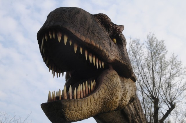 W Galerii Mazovia powstanie niezwykły park dinozaurów (zdj. ilustracyjne)
