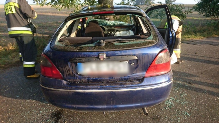 18 latka rozbiła auto na drzewie między  Jezierzycami  a Zbarzewem. Trzy osoby w szpitalu [ZDJĘCIA]