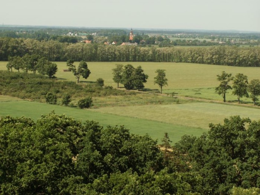 Park Krajobrazowy im. gen. Dezyderego Chłapowskiego 

To...