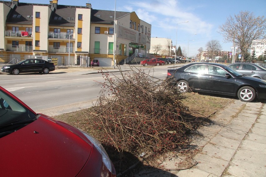 Ulica Wojska Polskiego w Kielcach będzie remontowana już wiosną (ZDJĘCIA)