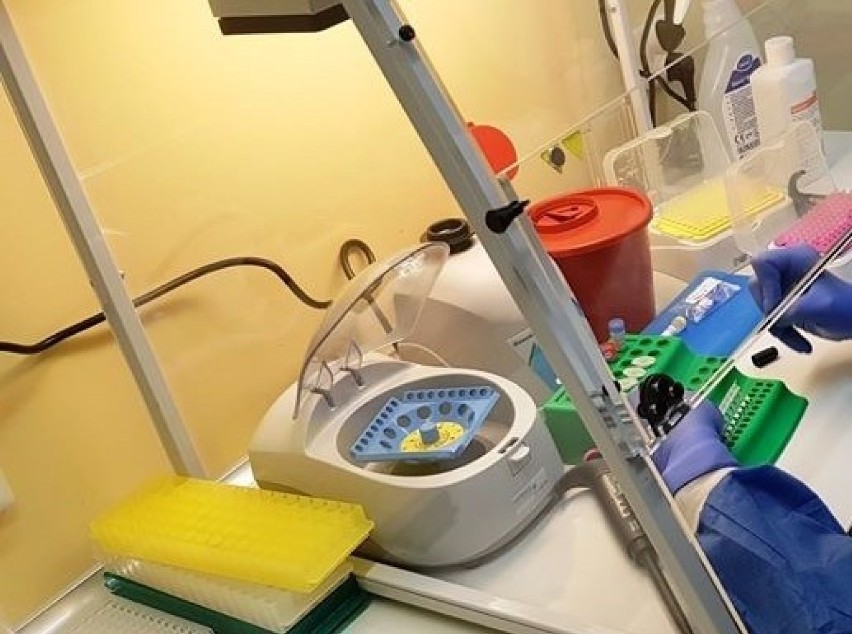 Nowe laboratorium do badania próbek na koronawirusa w Koźlu