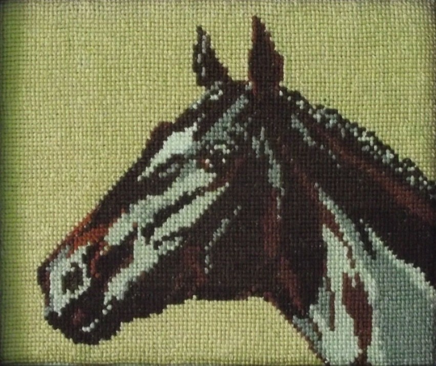 Koń igłą malowany