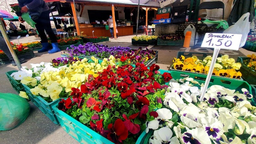 Kwiaty z nowosądeckich bazarów