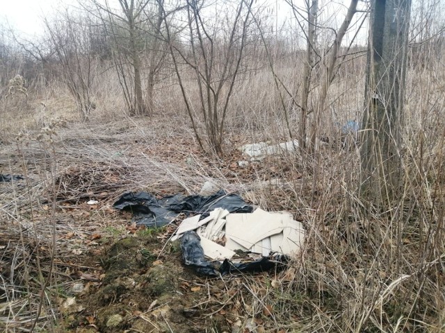 Na sprzątających czekają między innymi śmieci na ulicy Stara Prochownia w Sandomierzu