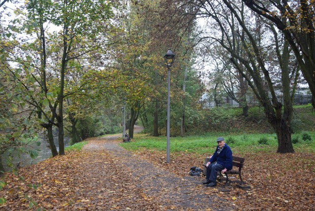 Jesień w stargardzkich parkach