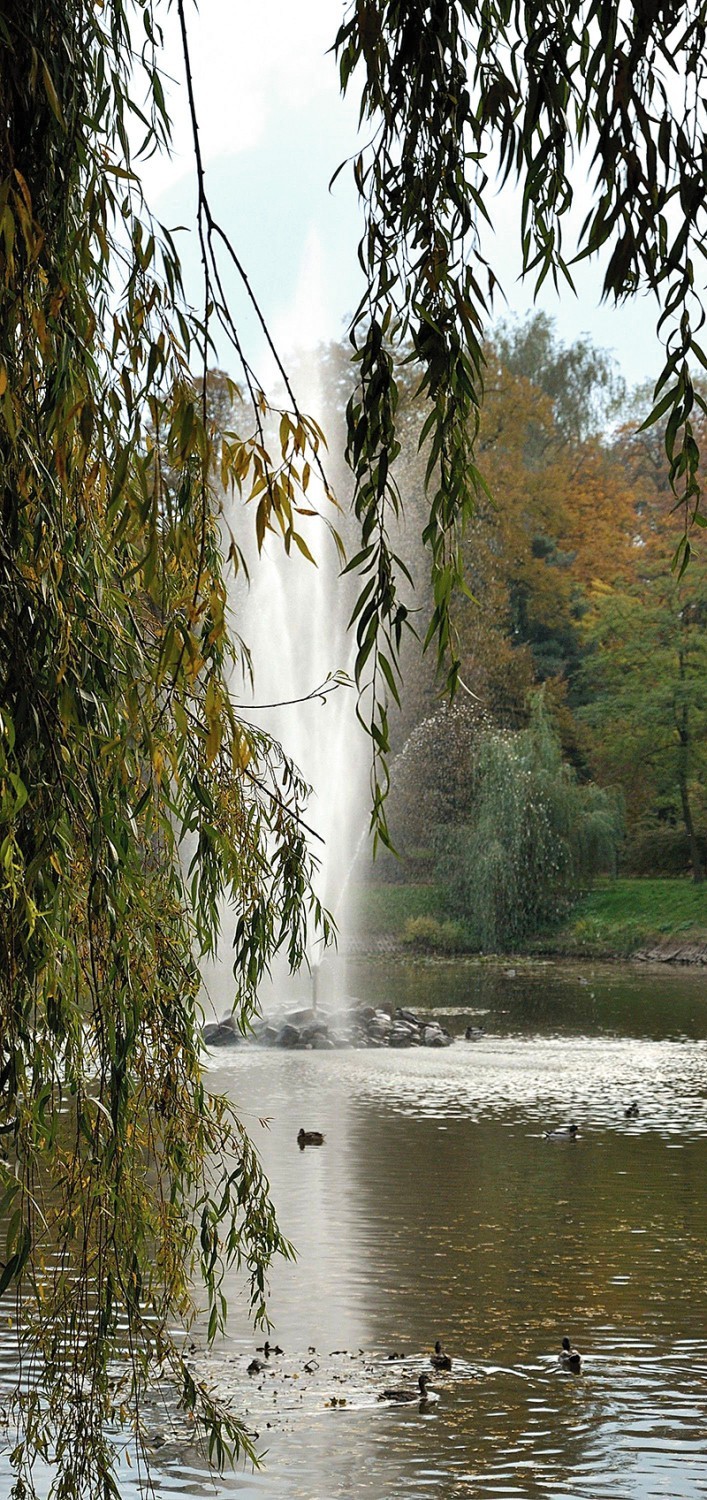 Fundusz wsparł rewaloryzację zabytkowych parków Łódzkiego