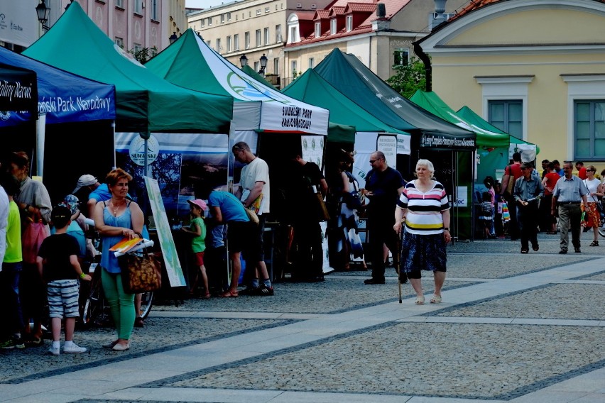 Na najmłodszych czekały gry i konkursy związane z naturą.