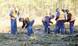 Więzień posprząta park i zbuduje autostradę A1