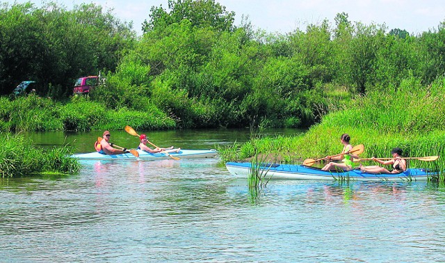 Dolina Rzeki Pilicy to niezwykle urokliwe miejsce na letni wypoczynek