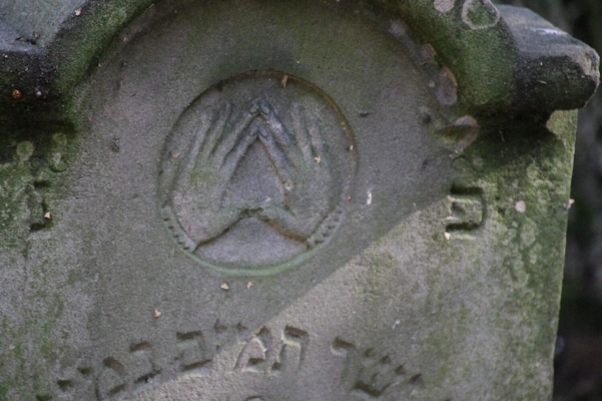 Inwentaryzowali jeden z największych cmentarzy żydowskich w Wielkopolsce [ZDJĘCIA]
