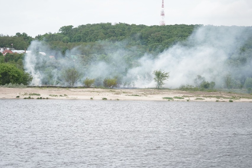 Pożar traw na wyspie we Włocławku