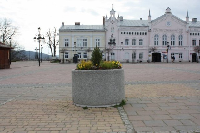 Kilka tysięcy kwiatów posadzono w Sanoku