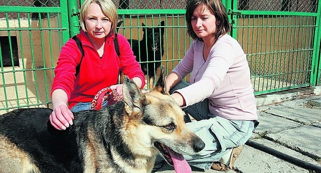 Kamila Ślusarczyk i Agnieszka Mirecka zauważyły, że spacer to dla psa przeżycie