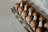 Jajo - najdoskonalszy wytwór natury. Naukowcy z Uniwersytetu Przyrodniczego we Wrocławiu obalają mity