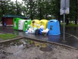 Segregacja śmieci w Krakowie to fikcja? [Zdjęcie]
