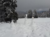 Znowu napadało śniegu na Dolnym Śląsku. Sami zobaczcie [NOWE ZDJĘCIA]