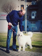 W Katowicach trwa akcja promująca sprzątanie psich kup. Włączyli się Gorzelik i Miuosh ZDJĘCIA
