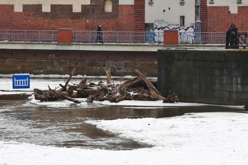 Powódź na Dolnym Śląsku? Przybywa wody w rzekach!