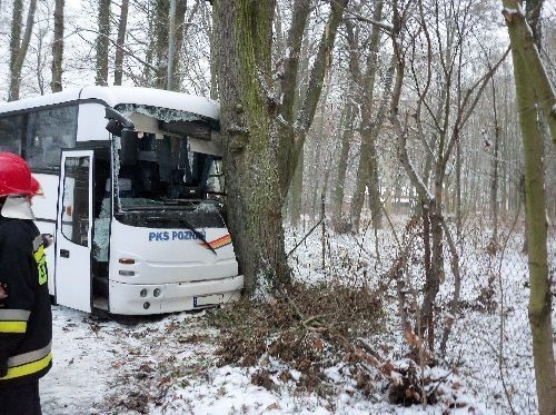 Autobus rozbił się na drzewie [ZDJĘCIA]
