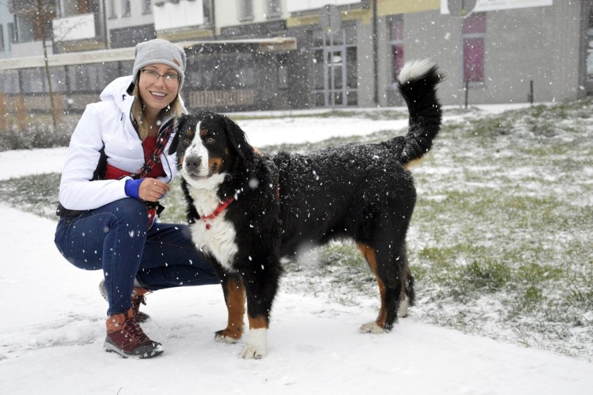 Śnieg w Głogowie - 3.12.2020