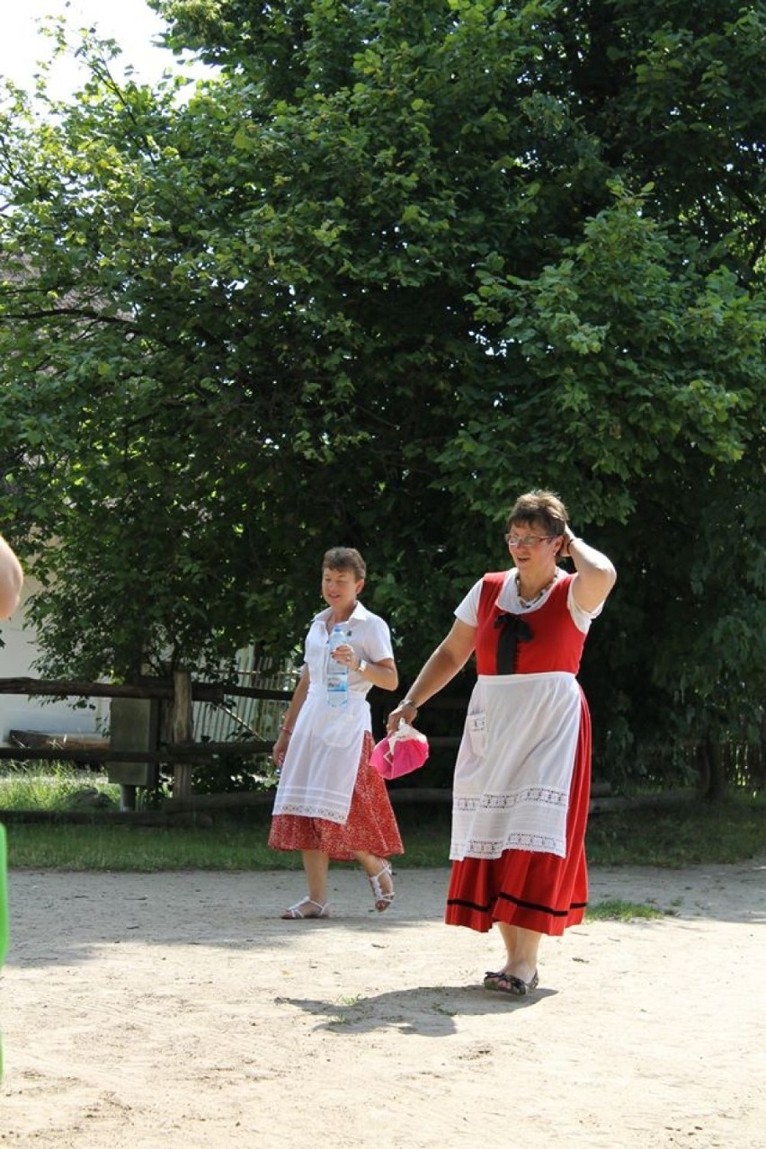 Miodobranie w Sierpcu. Pokarm królów w mazowieckim skansenie