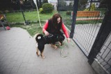 Schronisko dla zwierząt w Katowicach szuka wolontariuszy! I to Ty możesz zaopiekować się tymi czworonogami. Spotkanie informacyjne wkrótce