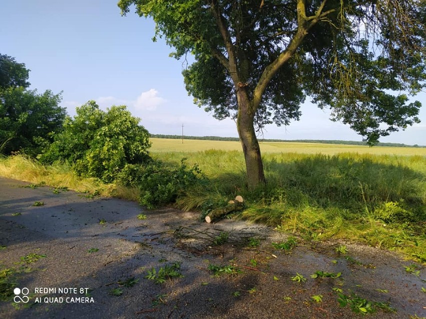 Boronów. Trąba powietrzna nad gminą. Uszkodzony plac rekreacji, powalone drzewa. Wójt mówi o trąbie powietrznej