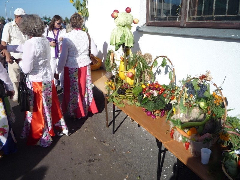 Dożynkowe święto w Siedliszczu (ZDJĘCIA)