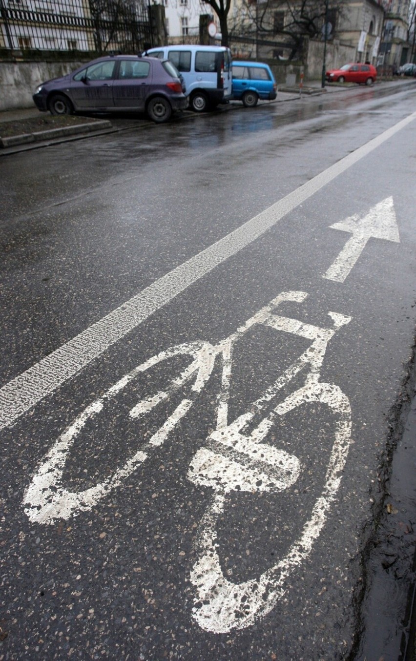 ZZM odpowiada za utrzymanie zieleni w pasach dróg dla rowerów. Polski Klub Ekologiczny Małopolska ma kilka uwag