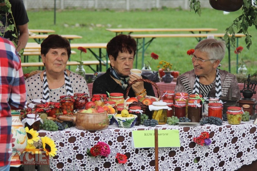 V Konarzewski Piknik Rodzinny i Turniej Sołectw [ZDJĘCIA]              