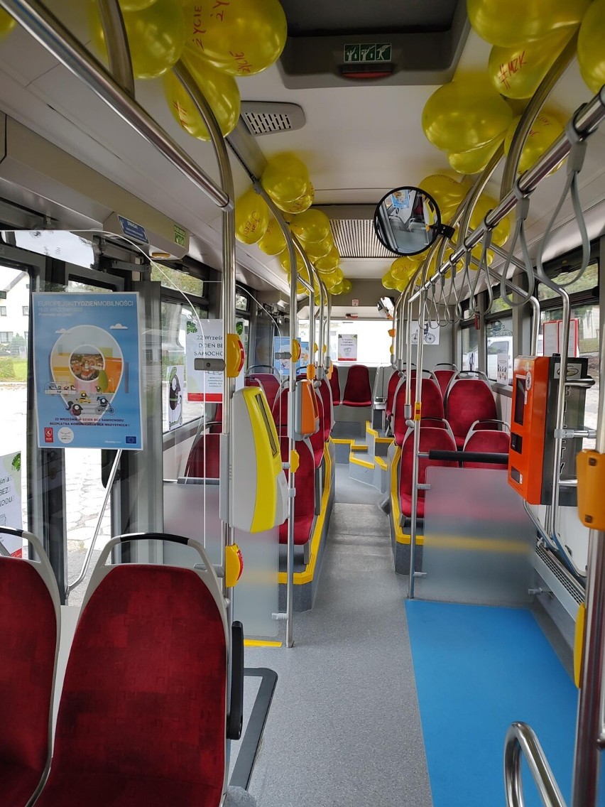 Dzisiaj (22.09) za darmo skorzystasz z autobusów MZK Jelenia Góra!