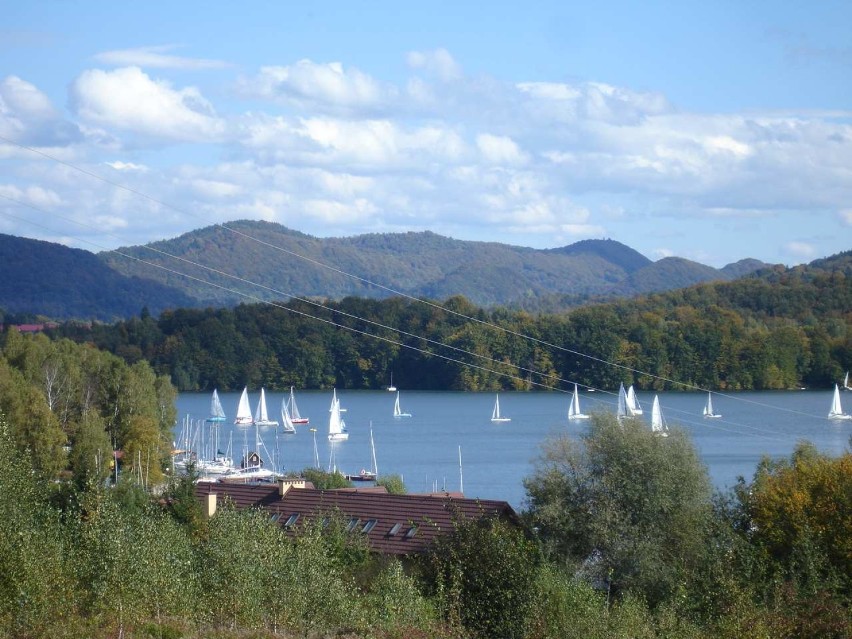 3. Solina