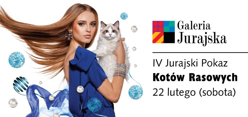 Częstochowa: Wystawa Kotów w Galerii Jurajskiej