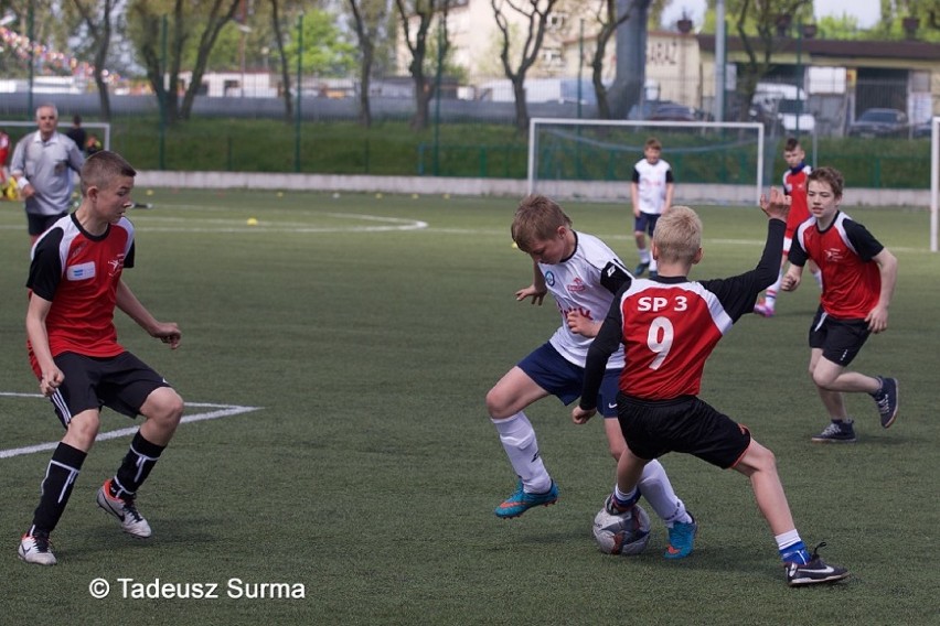 Mistrzostwa Powiatu w piłce nożnej chłopców szkół podstawowych - galeria