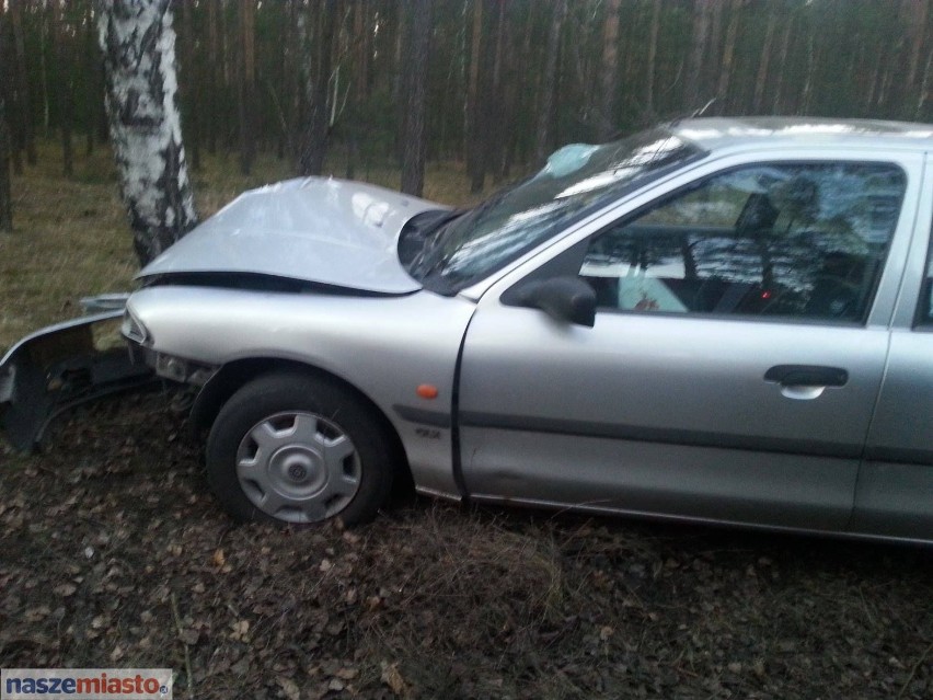 Wypadek na ul. Leśnej w czasie jazdy testowej. Ford mondeo uderzył w drzewo