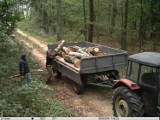 Monitoring leśny pomógł złapać złodziei drewna [ZDJĘCIA]