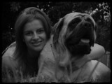 "Moja kruszynka" zdjęcia przedstawiają Balbinę i Kalinę - psy rasy mastif angielski i ich panią.