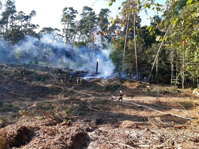 W Tereszewie w okolicy Partęczyn spłonęło ok. 200 metrów kwadratowych ściółki leśnej