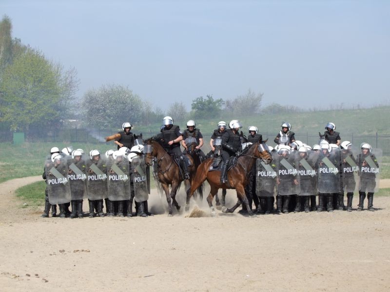 Policjanci konni z Poznania znów  udowodnili, że są najlepsi w kraju [ZDJĘCIA, WIDEO]