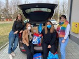 Uczniowie "Kopernika" z Jarosławia, zebrali 200 kilogramów darów dla bezdomnych zwierząt
