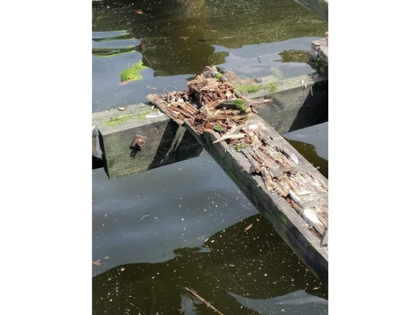 Trwa rozbiórka pomostu na plaży Bielnik      