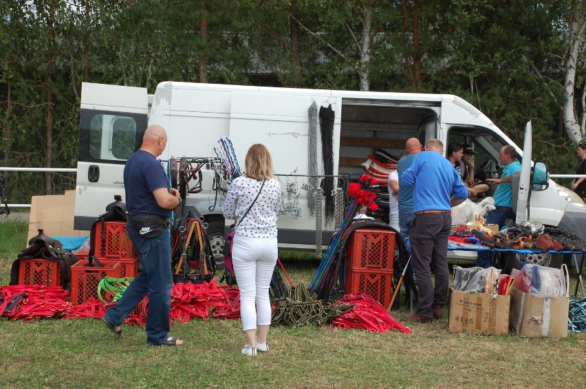 Święto hodowców i miłośników koni w Stajni Galicja w Bieździedzy