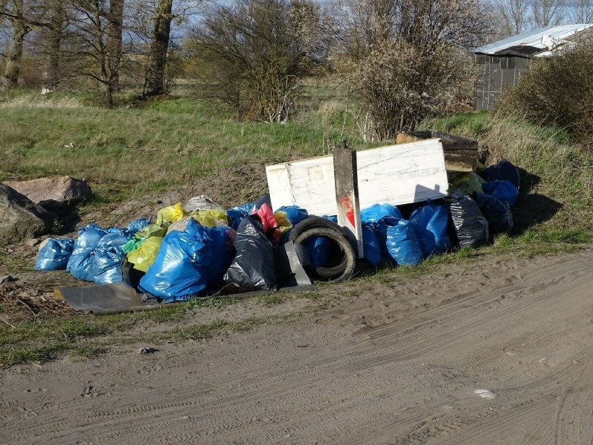 Akcja czyszczenia rzeki Łeby. Zbiórka jutro o godz. 9.00 przy przystani kajakowej w Lęborku