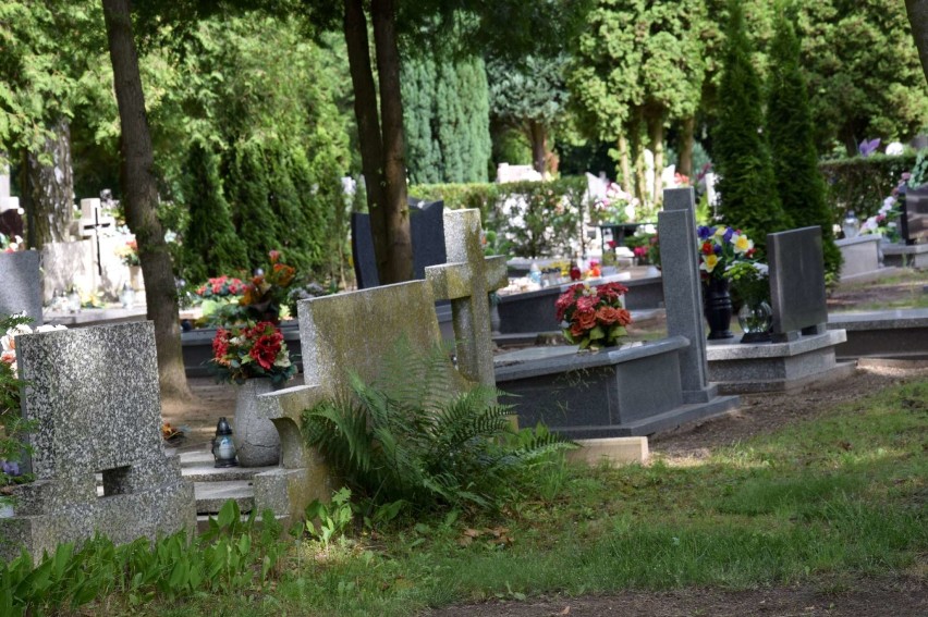 Cmentarz Komunalny w Międzychodzie to największa nekropolia...
