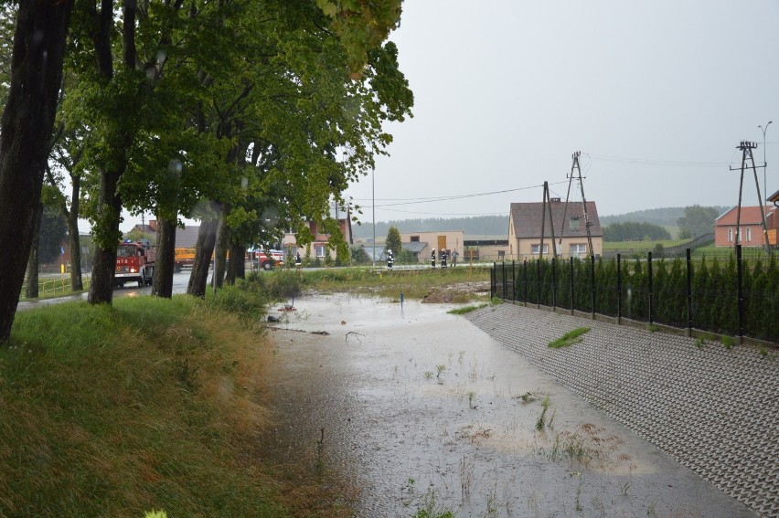 Ostatnie zalanie Bytowa? Rzeka Bytowa będzie pogłębiona (ZDJĘCIA)