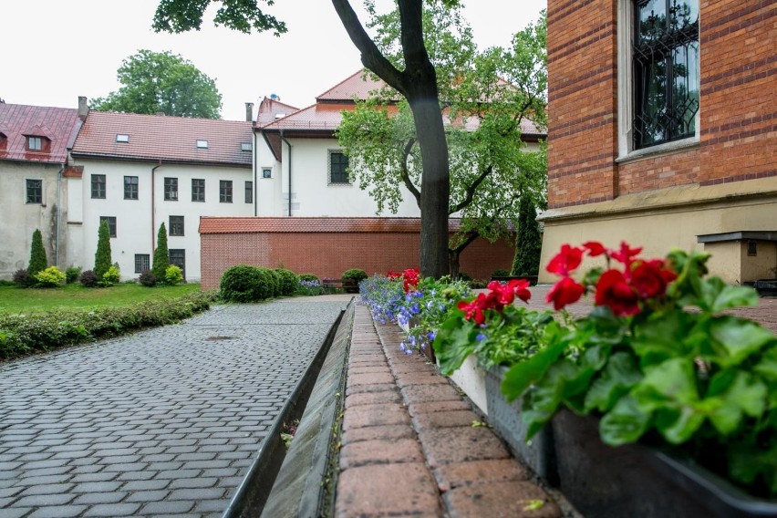 17.05.2018 krakow 
seminarium duchowne ogrod pod wawelem...