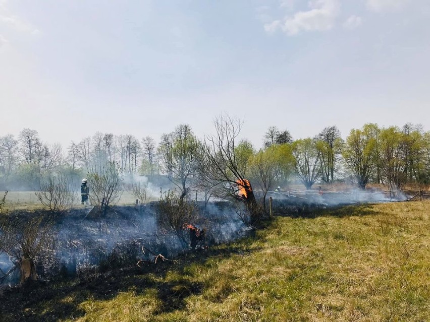 Płonęły kolejne nieużytki. Interweniowali ochotnicy ze Zbytowej (FOTO)